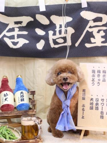 20240616フーちゃん